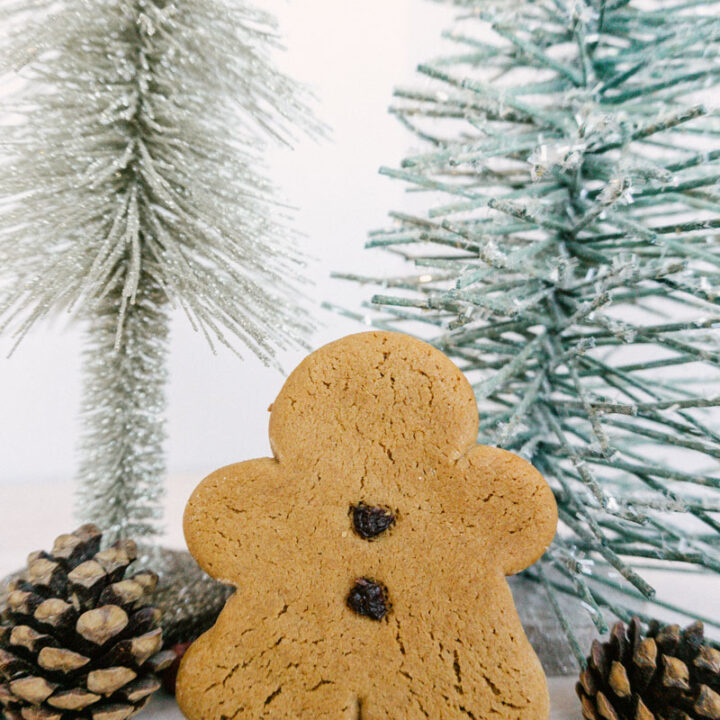 taste before beauty classic gingerbread man standing up with trees and pinecones
