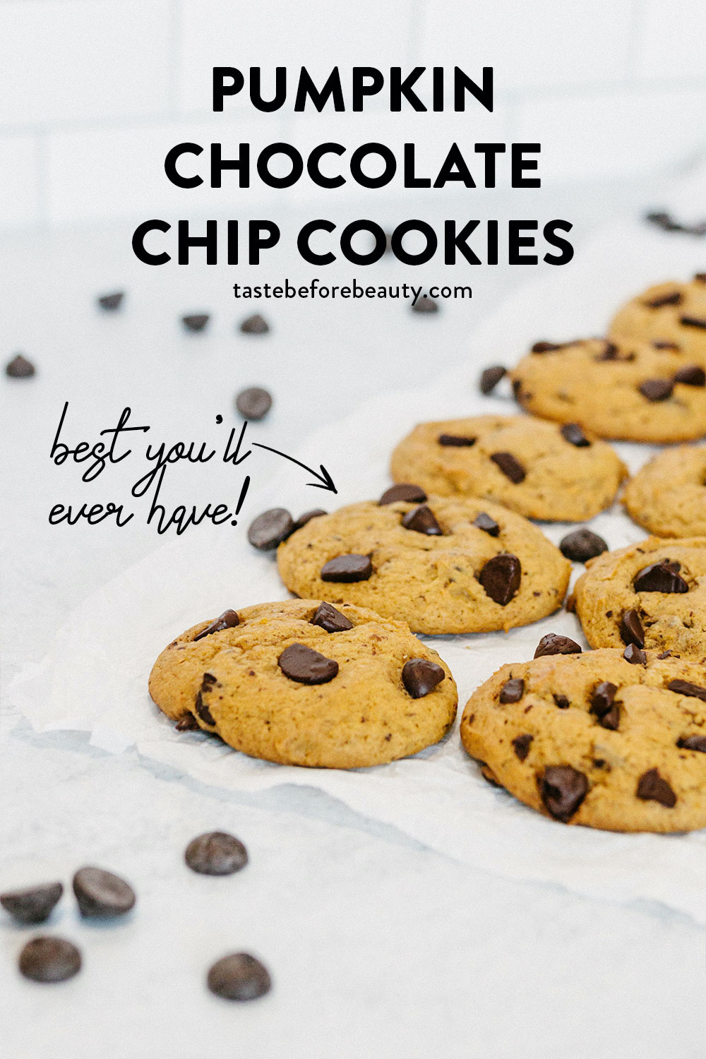 taste before beauty pumpkin chocolate chip cookies on parchment paper with chocolate chips pinterest pin