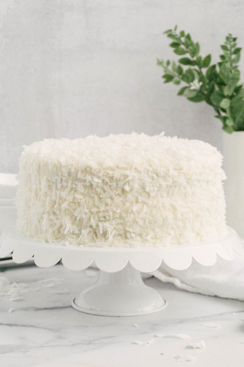 taste before beauty sweet coconut cake with plant in back