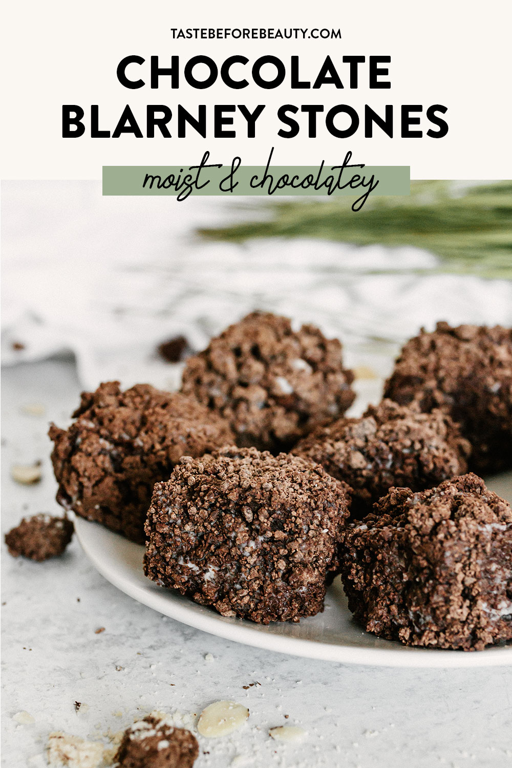 taste before beauty chocolate blarney stones on plate with crumbs pinterest pin