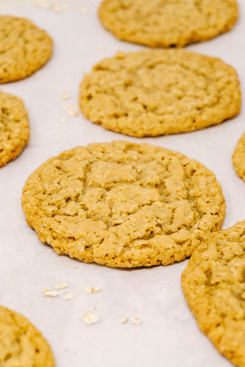 oatmeal cookies for the kids with oats
