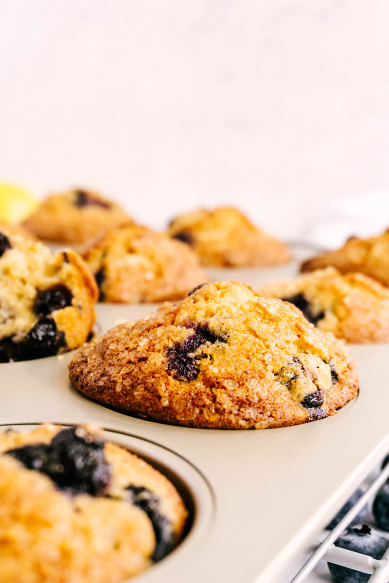 baked lemon blueberry muffins in muffin tin