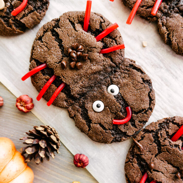 close up of sweet spider cookies chocolate with eyes and arms next to pumpkins
