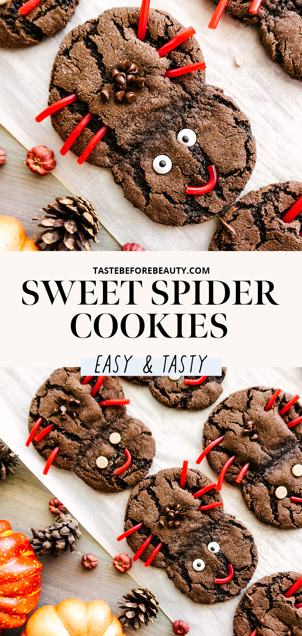 sweet spider cookies chocolate pinterest pin