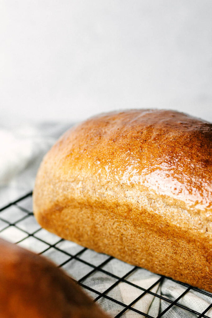 whole wheat bread loaf with buttered top
